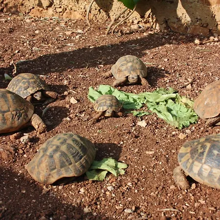 By The Sea Okrug Gornji, Ciovo - 6078 *